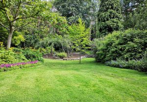 Optimiser l'expérience du jardin à La Roche-en-Brenil